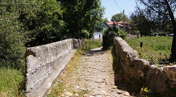 La Casa del Cura - Entorno -  Puente de Piedra sobre el Ebro